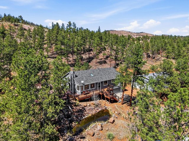 16687 Ouray Rd W, Pine, CO 80470