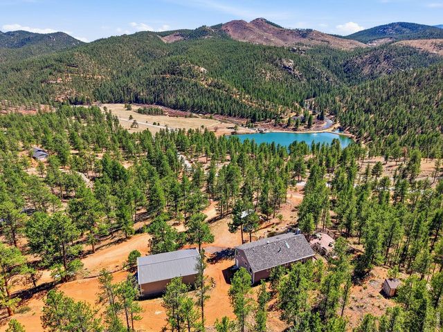 16687 Ouray Rd W, Pine, CO 80470