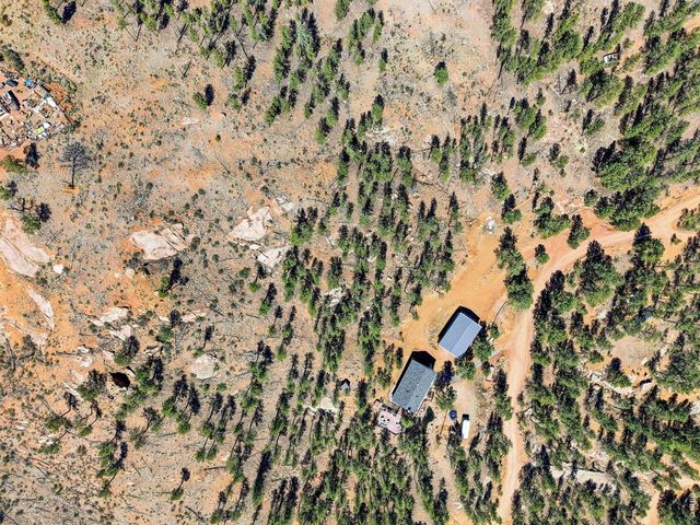 16687 Ouray Rd W, Pine, CO 80470