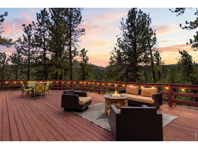 16687 Ouray Rd W, Pine, CO 80470