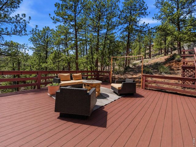 16687 Ouray Rd W, Pine, CO 80470