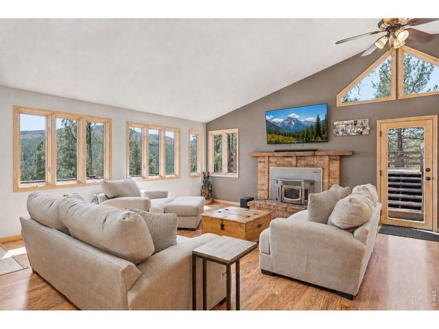 16687 Ouray Rd W, Pine, CO 80470