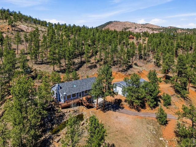 16687 Ouray Rd W, Pine, CO 80470