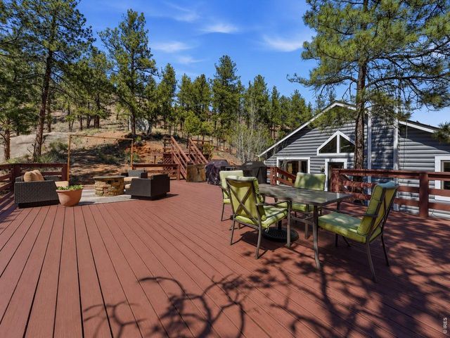 16687 Ouray Rd W, Pine, CO 80470