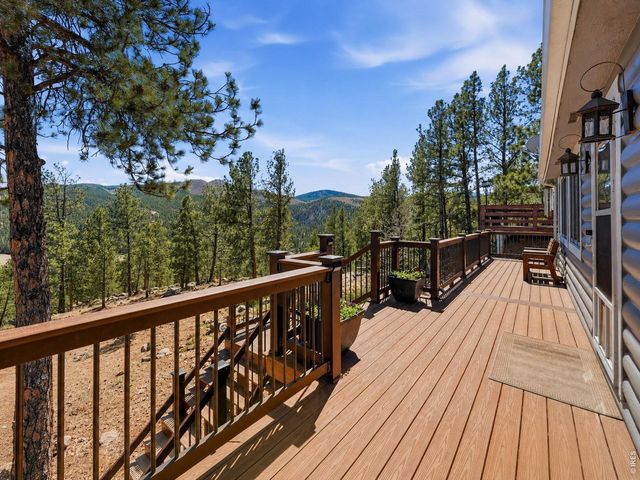 16687 Ouray Rd W, Pine, CO 80470