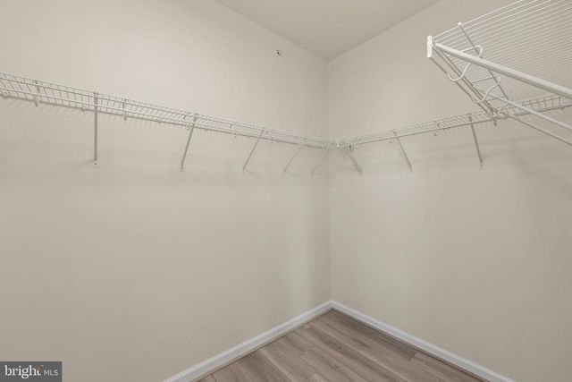 1010 RIBBON LIMESTONE TER SE, Leesburg, VA 20175