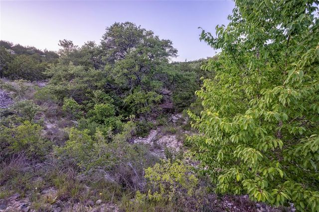197 Sierra DR, Bertram, TX 78605