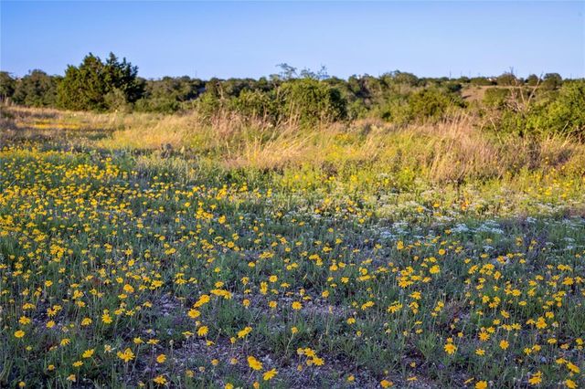 197 Sierra DR, Bertram, TX 78605