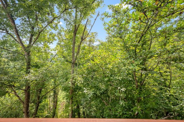 1555 Gassaway Main St, Liberty, TN 37095