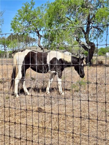 390 N County Road 1030, Kingsville, TX 78363