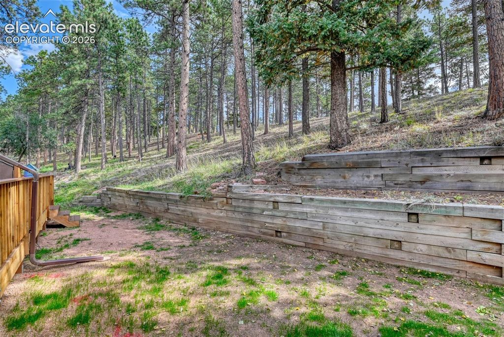 590 Manor Court B, Woodland Park, CO 80863 — photo 5