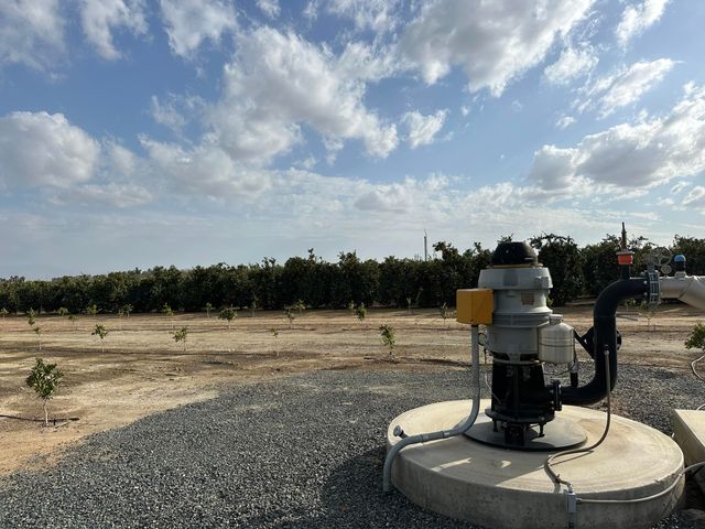 37 Acres Citrus Ranch, Terra Bella, CA 93270