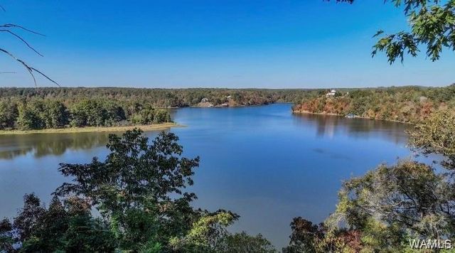 11091 Patton, Northport, AL 35475