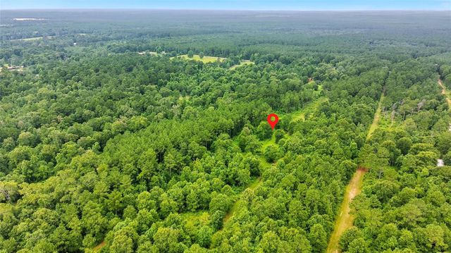 1151 County Line Road, Shepherd, TX 77371