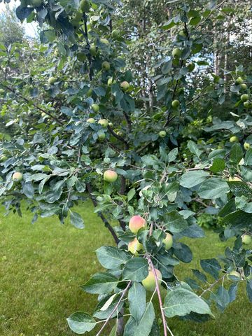 408 21st Avenue N, Sartell, MN 56377