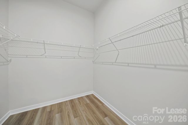 8016 Brookbank Drive, Charlotte, NC 28269