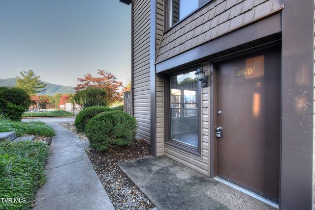 515 Pilgrim Court, D, Johnson City, TN 37601