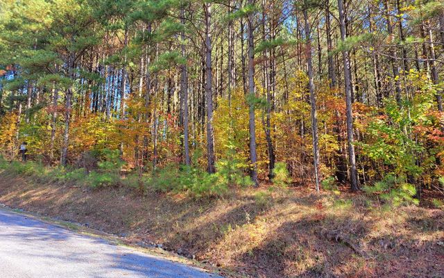 LOT 7 Ridge Top Drive, Ellijay, GA 30536
