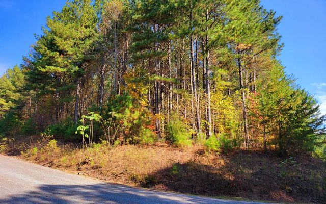 LOT 7 Ridge Top Drive, Ellijay, GA 30536