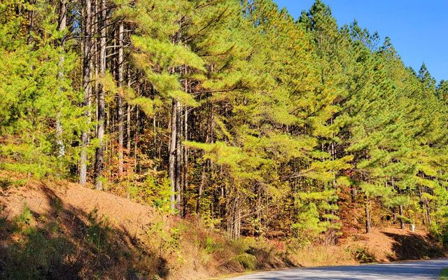LOT 7 Ridge Top Drive, Ellijay, GA 30536