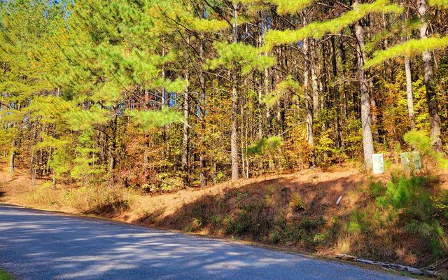LOT 7 Ridge Top Drive, Ellijay, GA 30536