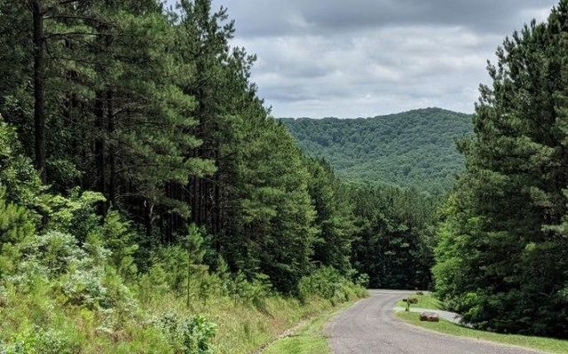 LOT 7 Ridge Top Drive, Ellijay, GA 30536