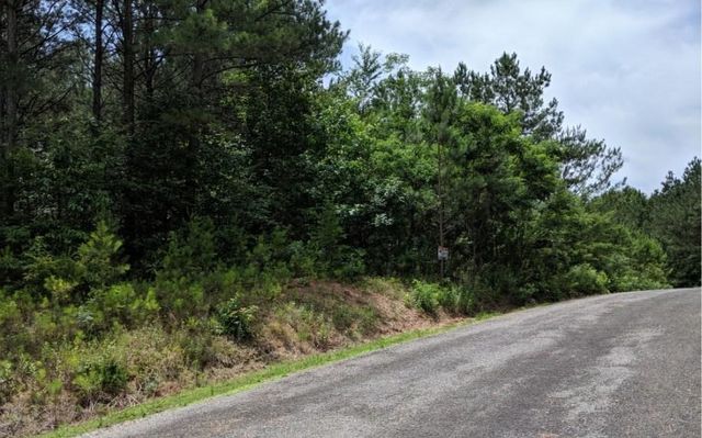 LOT 7 Ridge Top Drive, Ellijay, GA 30536