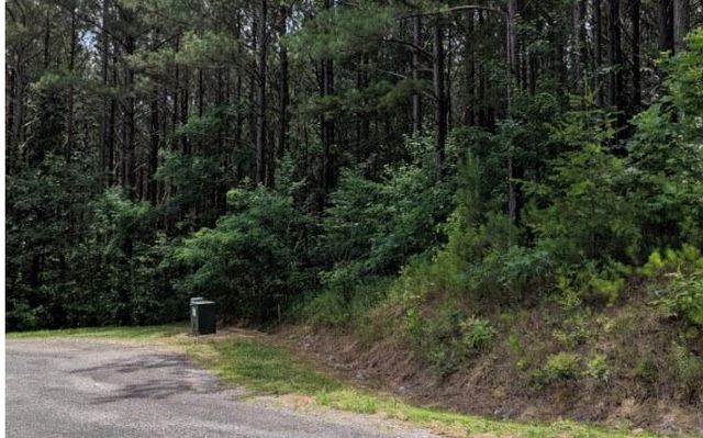 LOT 7 Ridge Top Drive, Ellijay, GA 30536