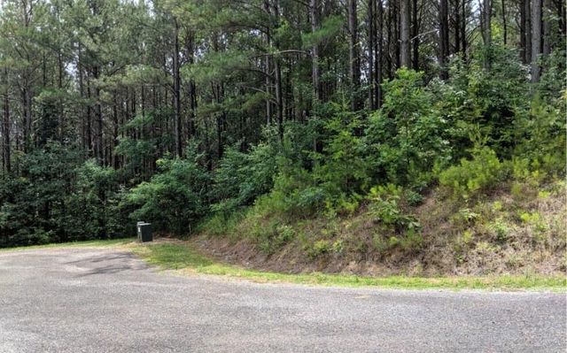 LOT 7 Ridge Top Drive, Ellijay, GA 30536