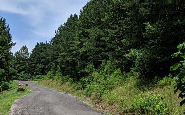 LOT 7 Ridge Top Drive, Ellijay, GA 30536