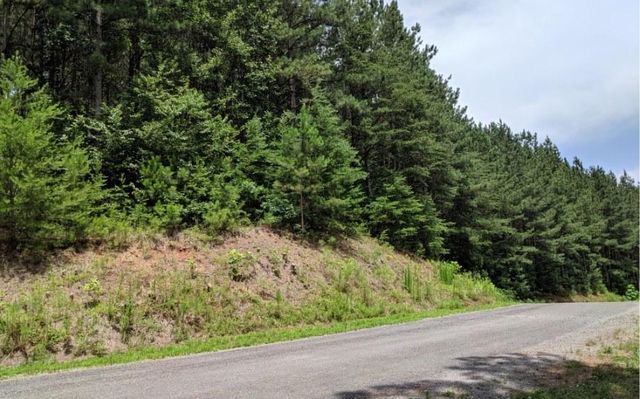 LOT 7 Ridge Top Drive, Ellijay, GA 30536