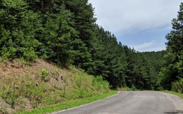 LOT 7 Ridge Top Drive, Ellijay, GA 30536