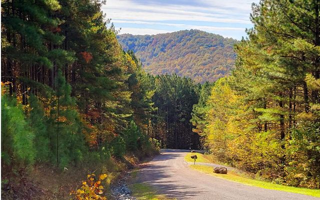 LOT 7 Ridge Top Drive, Ellijay, GA 30536