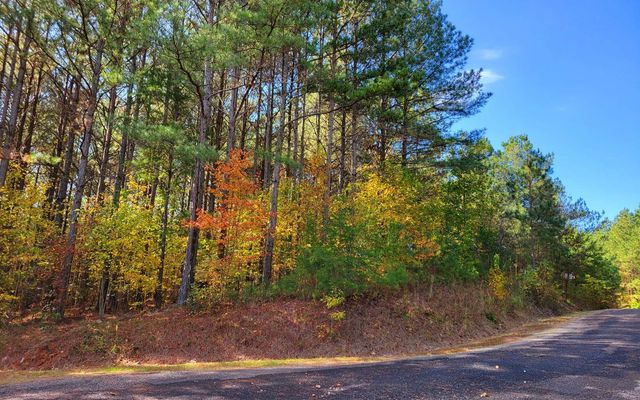 LOT 7 Ridge Top Drive, Ellijay, GA 30536