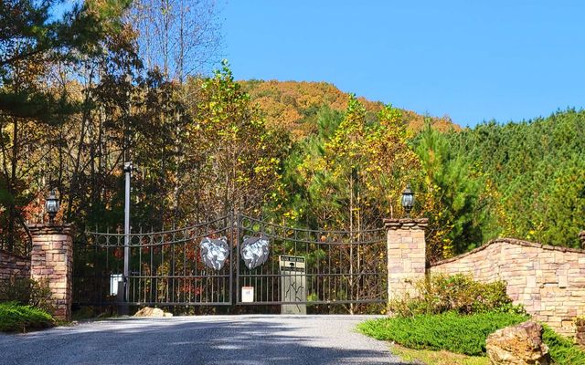 LOT 7 Ridge Top Drive, Ellijay, GA 30536