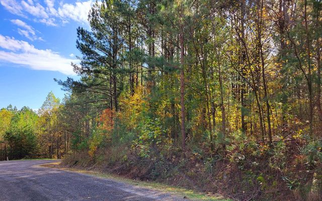 LOT 7 Ridge Top Drive, Ellijay, GA 30536