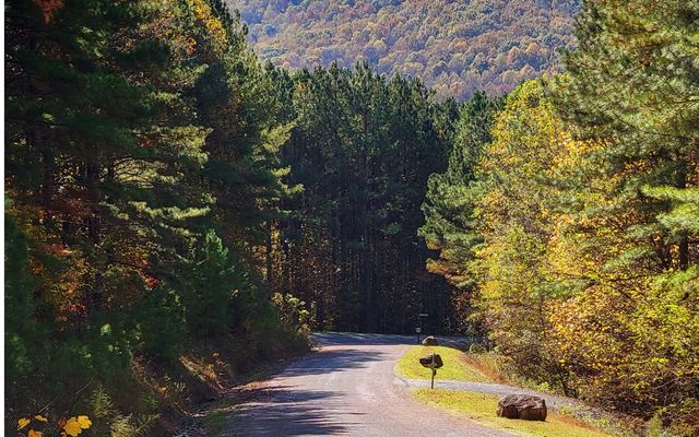 LOT 7 Ridge Top Drive, Ellijay, GA 30536
