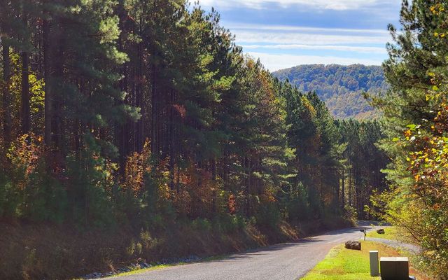 LOT 7 Ridge Top Drive, Ellijay, GA 30536