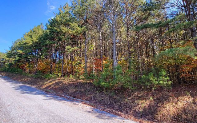 LOT 7 Ridge Top Drive, Ellijay, GA 30536