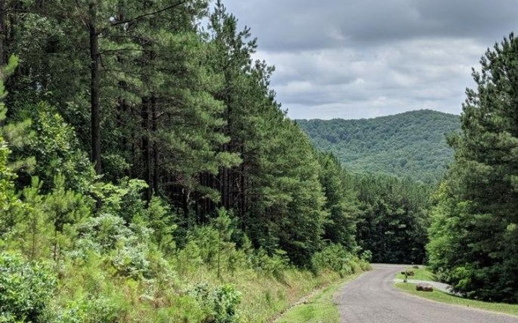 LOT 7 Ridge Top Drive, Ellijay, GA 30536