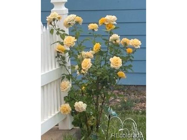 6405 Hollyhock Grn 62, Frederick, CO 80530
