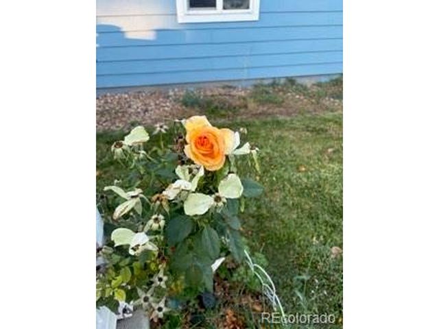 6405 Hollyhock Grn 62, Frederick, CO 80530