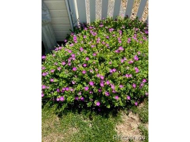 6405 Hollyhock Grn 62, Frederick, CO 80530