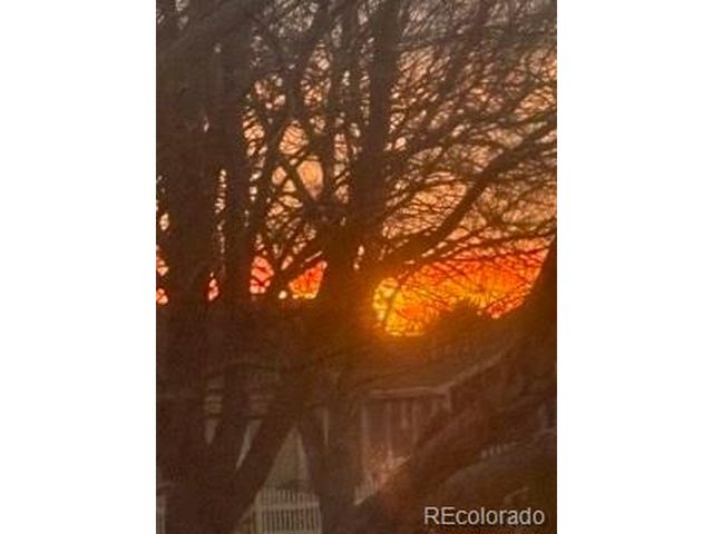 6405 Hollyhock Grn 62, Frederick, CO 80530