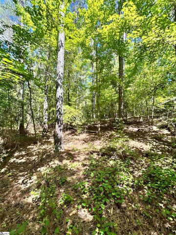 011 Sc - 413 Highway, Anderson, SC 29621
