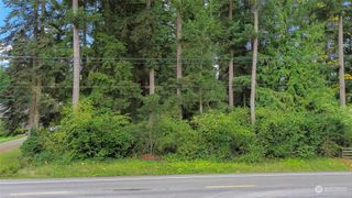 0 148th Avenue SE, Yelm, WA 98597