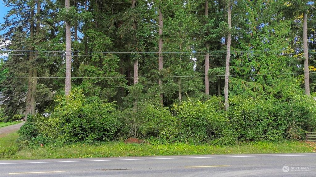 0 148th Avenue SE, Yelm, WA 98597