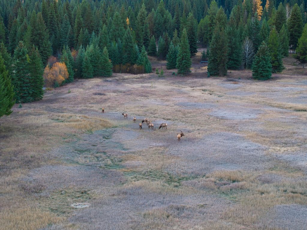 8500 North Fork Road, Polebridge, MT 59928 photo 100