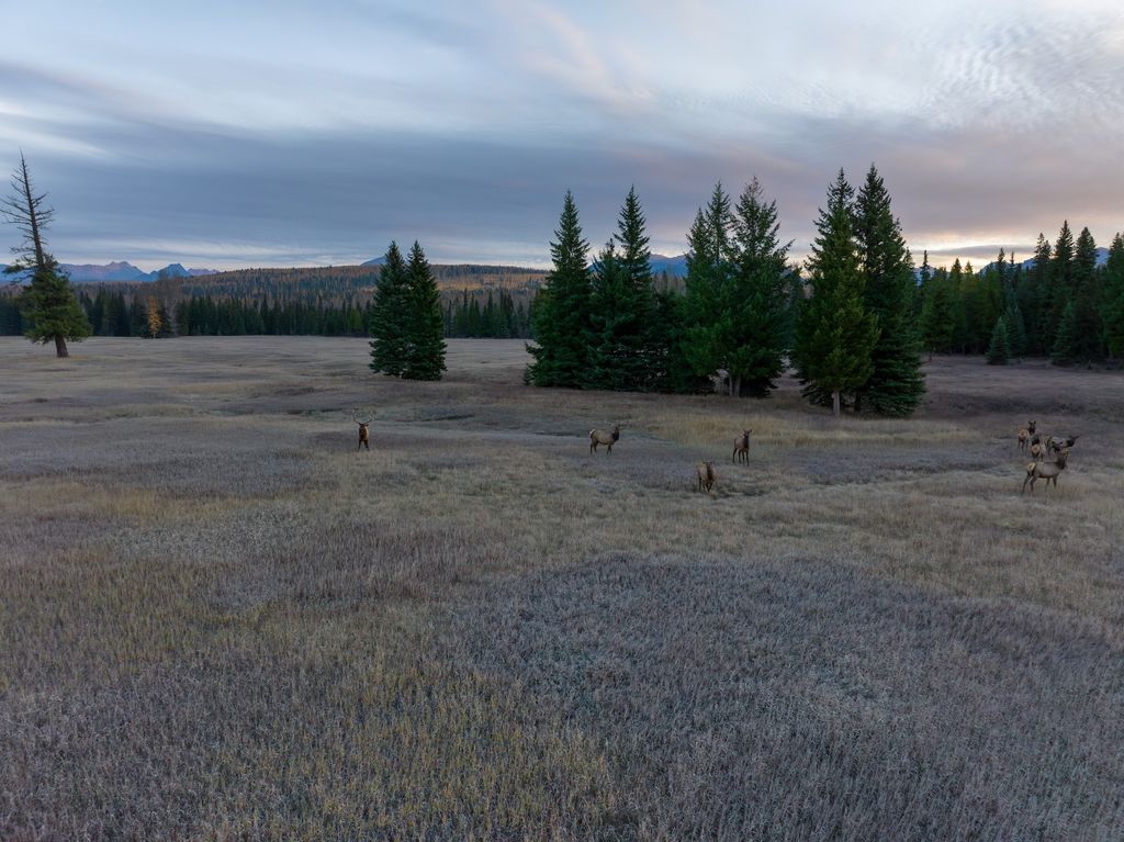 8500 North Fork Road, Polebridge, MT 59928 photo 101