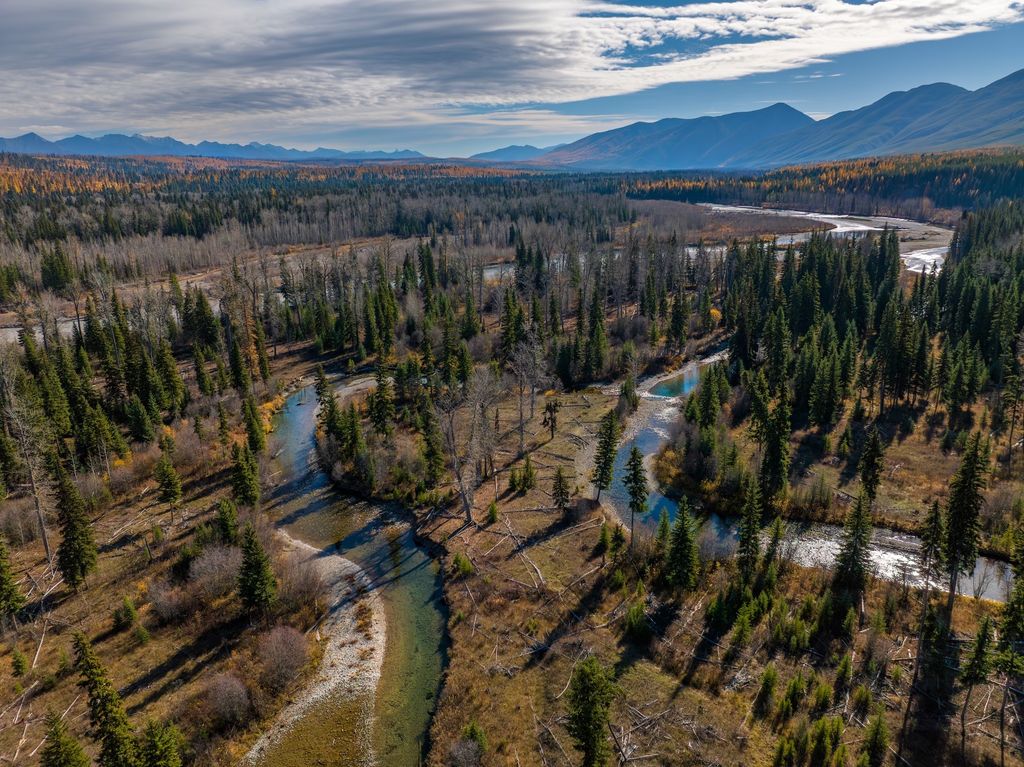 8500 North Fork Road, Polebridge, MT 59928 photo 106